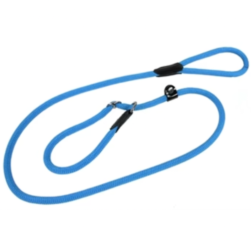 Hundeleine mit Halsband Türkis